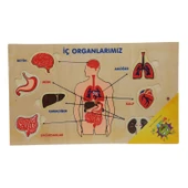 Ahşap Yapboz Duyu Organlarımız thumbnail 1