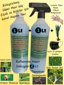 2 Lt Çiçekler için Genel Haşere İlacı (Unlu Pamuk Biti, Sinek Ve Yaprak Biti, Kırmızı Örümcek) thumbnail 1