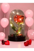 Fanusta Led Işıklı Kırmızı Yapay Gül Sevgiliye Özel Dekoratif Hediye Sevgililer Günü thumbnail 3