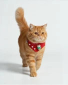 Christmas Squirrel Yılbaşı Kedi Bandanası | Ponponlu Kırmızı Noel Boyun Aksesuarı | Sevimli Sincap Figürlü Kedi Süsü thumbnail 8