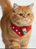 Christmas Squirrel Yılbaşı Kedi Bandanası | Ponponlu Kırmızı Noel Boyun Aksesuarı | Sevimli Sincap Figürlü Kedi Süsü thumbnail 2