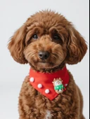 Christmas Squirrel Yılbaşı Köpek Bandanası | Ponponlu Kırmızı Noel Boyun Aksesuarı | Sevimli Sincap Figürlü Köpek Süsü | Küçük Irklar İçin thumbnail 1