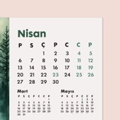 2026 Orman Masa Takvimi | Üç Aylık Takvim - Önceki Ay Sonraki Ay | Doğa ve Ağaç İllüstrasyonları | Minimal Ofis ve Ev De thumbnail 6