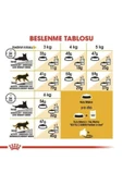 Royal Canin Persian Adult Yetişkin Iran Kedisi Maması 2 Kg thumbnail 7