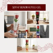 Şeffaf Silindir Kutulu Gül - Öğretmenler Günü Hediyesi thumbnail 2