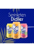 Çaykur Didi Hepsibir Paketi Bergamot + Limon + Şeftali Soğuk Çay 330 Ml X 18 Adet thumbnail 3