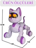 SH40194 U/K DANS EDEN ROBOT KEDİ -ZRV thumbnail 3
