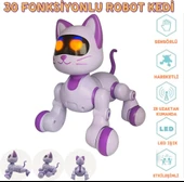 SH40194 U/K DANS EDEN ROBOT KEDİ -ZRV thumbnail 4