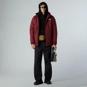 The North Face Quest İzolasyonlu Erkek Mont Nf00C30225Q1 thumbnail 4