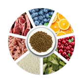 Prochoice Yavru Köpekler İçin, Hipoalerjenik, Kuzu Etli Ve Pirinçli Kuru Mama 3 kg thumbnail 3