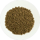 Prochoice Yavru Kediler İçin, Hipoalerjenik, Kuzu Etli Ve Pirinçli Kuru Mama 2 kg thumbnail 4