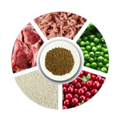 Prochoice Yavru Kediler İçin, Hipoalerjenik, Kuzu Etli Ve Pirinçli Kuru Mama 2 kg thumbnail 5