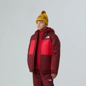 The North Face B Freedom İzolasyonlu Genç Çocuk Ceket NF0A88TZDI91 thumbnail 2