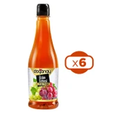 Doğanay Üzüm Sirkesi Pet 500 ml x 6 Adet thumbnail 1