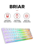 Everest Brıar Type-C Bağlantılı RGB Puding Tuşlu Mekanik Red Switch Türkçe Q Gaming Oyuncu Klavyesi Beyaz thumbnail 1
