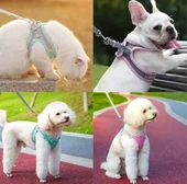 Mucit Home Kedi Yürüyüş Tasma Seti Ayarlanabilir köpek kedi tasması Fransız Bulldog Yürüyüş Yelek thumbnail 1