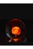 Cam Karahindiba Küre Led Işıklı Renkli Dekoratif Renk Değiştiren Led Işıklı thumbnail 2