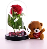 Fanusta LED Işıklı Kırmızı Gül ve Mini Ayıcık Set Sevgiliye Eşe Sürpriz Sevgiliye Hediye STRGLBL75 thumbnail 1