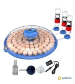 80/240 Kapasiteli Çift Viyollü Kuluçka Makinesi Kaz Ördek Tavuk Bıldırcın Kuşlar İçin thumbnail 3