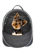La Vista Yırtılmaz Fileli Paris Kedi, Küçük Köpek Sırt Taşıma Çantası Siyah 32-26-40cm thumbnail 4