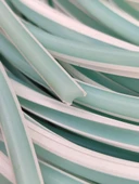 Neon Led Kılıfı 7mm 5 Metre Yeşil thumbnail 1