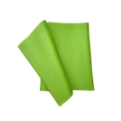 pilelistore Yeşil Pilates Lastiği Orta Üst Direnç 120 CM*15 CM*0.45 MM thumbnail 1