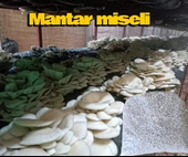 İstiridye Mantarı Tohumu ( Yetiştirme seti-Her Şey Dahil) thumbnail 2
