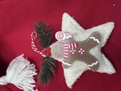 Yılbaşı Köpek Kıyafeti Yıldız Desenli Kırmızı Polar | Kapüşonlu Noel Köpek Kostümü | Küçük Irklar İçin thumbnail 5