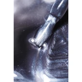 Nail Republic Satin Cat Kedi Gözü Kalıcı Oje 10ml 137 thumbnail 3