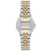 USPA2061-02 USPA SAAT thumbnail 4