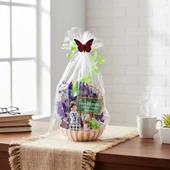 Mini Midye Teraryum - Öğretmenler Günü Hediyesi thumbnail 1