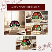 Altıgen Saksı Teraryum - Öğretmenler Günü Hediyesi thumbnail 2