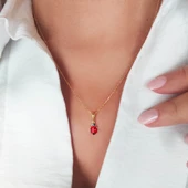 925 Ayar Gümüş Kırmızı Uğur Böceği Kolye thumbnail 1