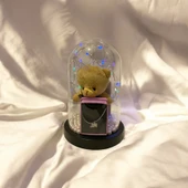 Sürpriz Işıklı Aşk Fanusu: Kolye ve Mesaj Kartı İçeren Romantik Hediye Seti thumbnail 1