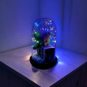 Sürpriz Işıklı Aşk Fanusu: Kolye ve Mesaj Kartı İçeren Romantik Hediye Seti thumbnail 2