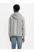 Relaxed Graphic Zip-Up Hoodie Sweatshirts Erkek thumbnail 2