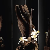 Yves Saint Laurent MYSLF Le Parfum 60 ml + MYSLF EDP 10 ml Erkek Parfüm Seti thumbnail 3