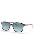 Ray-Ban RB2193 13163M 53 Unisex Güneş Gözlüğü thumbnail 1