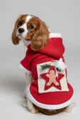 Yıldız Desenli Yılbaşı Köpek Kıyafeti Premium Kırmızı Polar | Kapüşonlu Noel Köpek Kostümü | Küçük Irklar İçin thumbnail 8