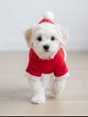 Yılbaşı Ağac Premiumı Kırmızı Polar Köpek Kıyafeti  | Kapüşonlu Noel Köpek Sweatshirt | Küçük Irklar İçin thumbnail 4