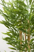 Beyaz Renkli Saksıda 100 cm 4 Gövde Yoğun Yaprak Yapay Bambu Ağacı thumbnail 4
