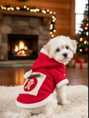 Kartopu Yılbaşı Köpek Kıyafeti Premium Kırmızı Polar | Kapüşonlu Noel Köpek Kostümü | Küçük Irklar İçin thumbnail 8