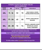 Noel Cücesi Kırmızı Yılbaşı Köpek Kıyafeti | Noel Baba Kapüşonlu Polar Sweatshirt | Orta ve Büyük Irklar İçin thumbnail 3