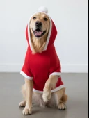 Noel Cücesi Kırmızı Yılbaşı Köpek Kıyafeti | Noel Baba Kapüşonlu Polar Sweatshirt | Orta ve Büyük Irklar İçin thumbnail 4