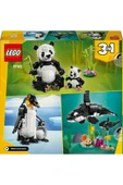 LEGO ®Creator 3’ü 1 Arada Vahşi Hayvanlar: Panda Ailesi 31165 - 8 Yaş ve Üzeri  Yapım Seti (626Parça) thumbnail 6