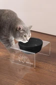 Tekli Seramik Dekoratif Kedi Ve Köpek Pleksi Mama & Su Kabı Kedi Paspası thumbnail 9