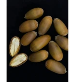 Meşe Palamudu 100 gr thumbnail 5