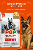 Pets and Plants Yüksek Proteinli Kuzu Etli Yetişkin Köpek Maması thumbnail 1