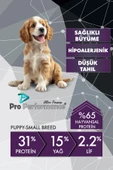 Pro Performance Puppy Small Breed Kuzulu Yaban Mersini Yavru Köpek Maması 12 Kg thumbnail 6