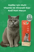 Pets and Plants Sterile Paste Kısırlaştırılmış Kediler Için Multi Vitamin Ve Mineralli Kısır Kedi Malt Macun 100 gr thumbnail 1